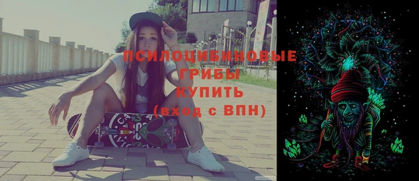 экстази Бикин